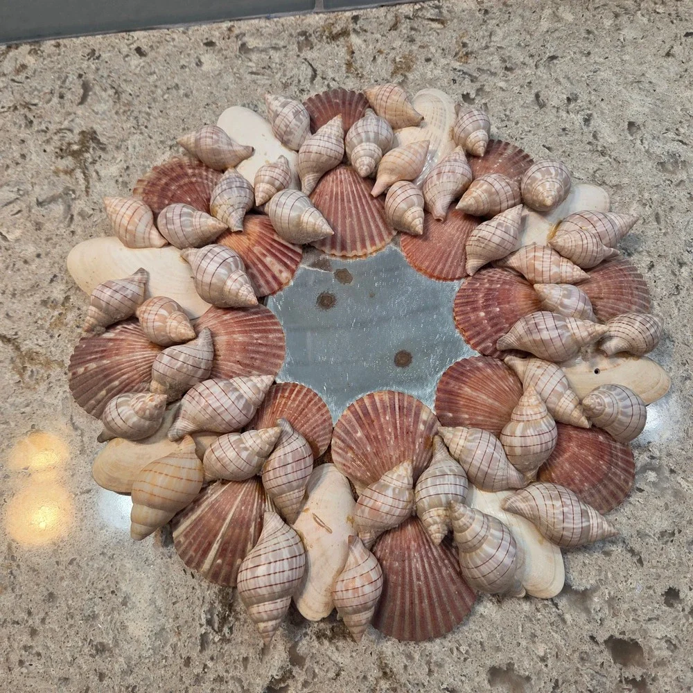 Vintage Natural Seashell Round Wall Mirror 11.5in Coastal Beach House Nautical